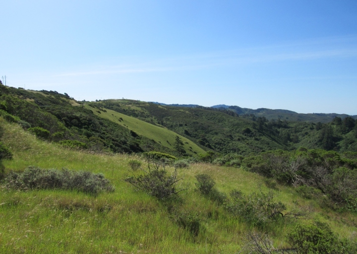 Santa Cruz Mountains